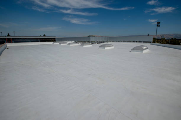 Best Roof Insulation Installation  in Neillsville, WI