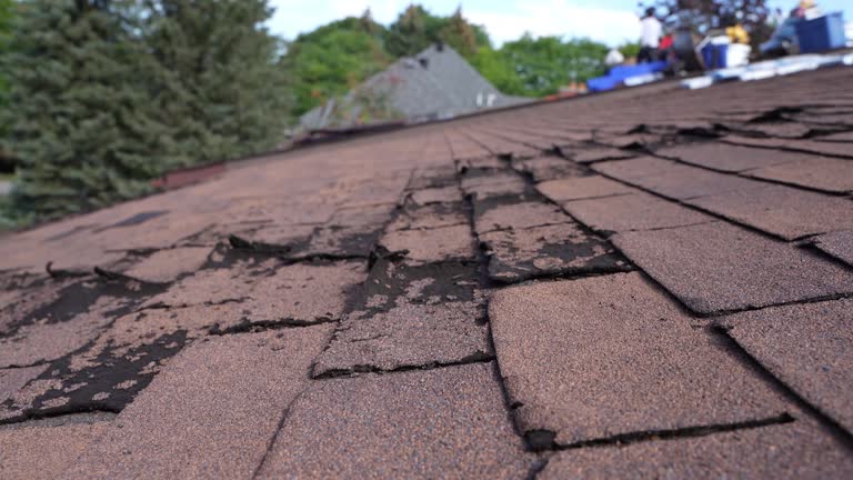 Best Roof Coating and Sealing  in Neillsville, WI