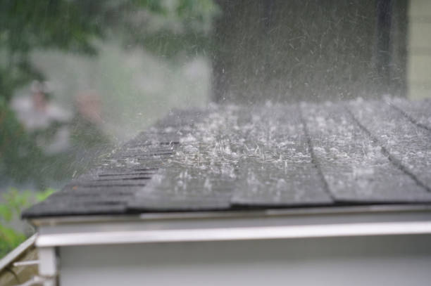 Reliable Neillsville, WI Roofing Service Solutions