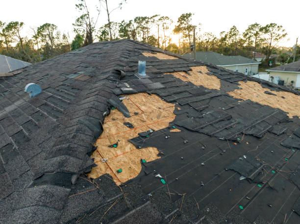 Trusted Neillsville, WI Roofing Service Experts