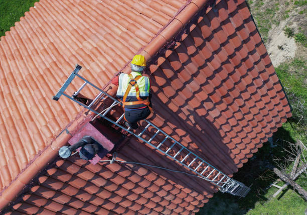 Best Roof Ventilation Installation  in Neillsville, WI